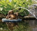Aquascape Lazy Frog on Lily Pad Spitter w/pump