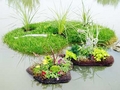 Islandscape Floating Island 56
