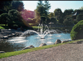 Kasco 1/4HP floating fountain, 50' cord, timer, 5 nozzles