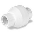 PVC Swing Check Valve, 3/4