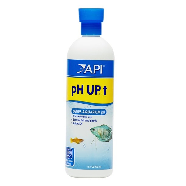 API, pH Up, 16oz.