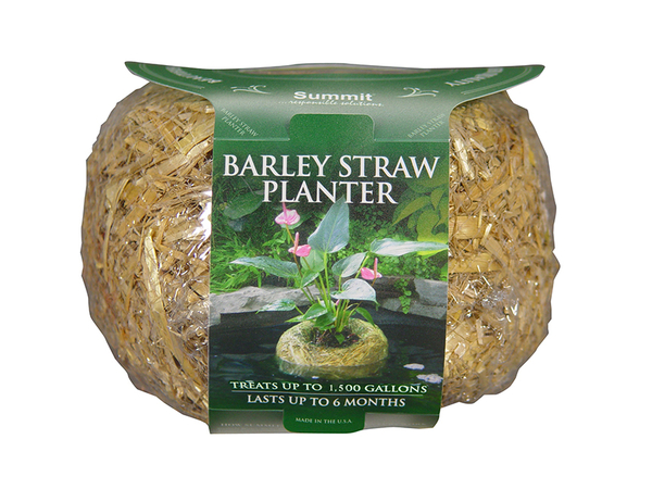 Clear Water Barley Straw Planter - Large, 14oz.