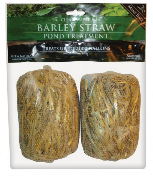 Clear Water Barley Straw Bales- super mini twin