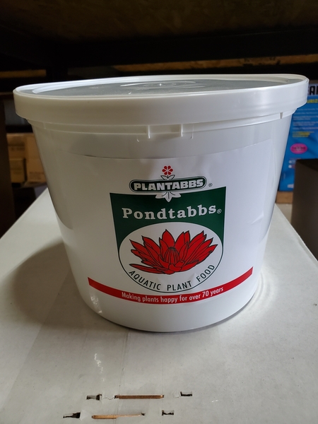 Pondtabbs Fertilizer 1000ct