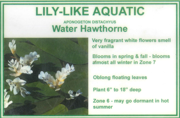 Color Picture Plant And Info Signage (5