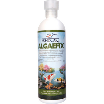 PondCare Algaefix 16 oz. | API (Pond Care)