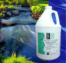 Algae Control (double chelated copper) 1 gal. | Diversified Waterscapes