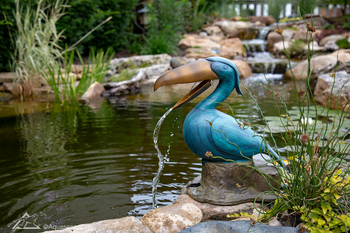 Aquascape, Spitter, Toucan | Fountains - Spitters